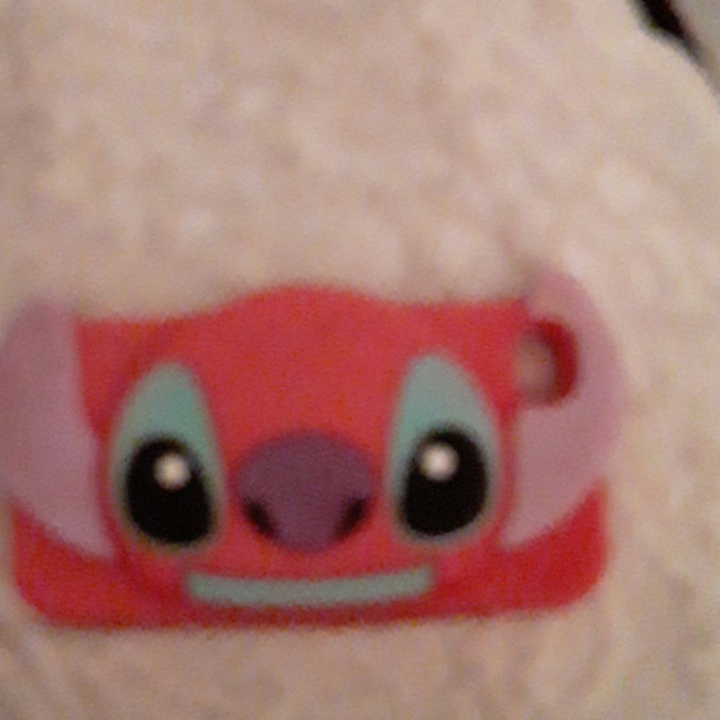 Cell Phone Cover
